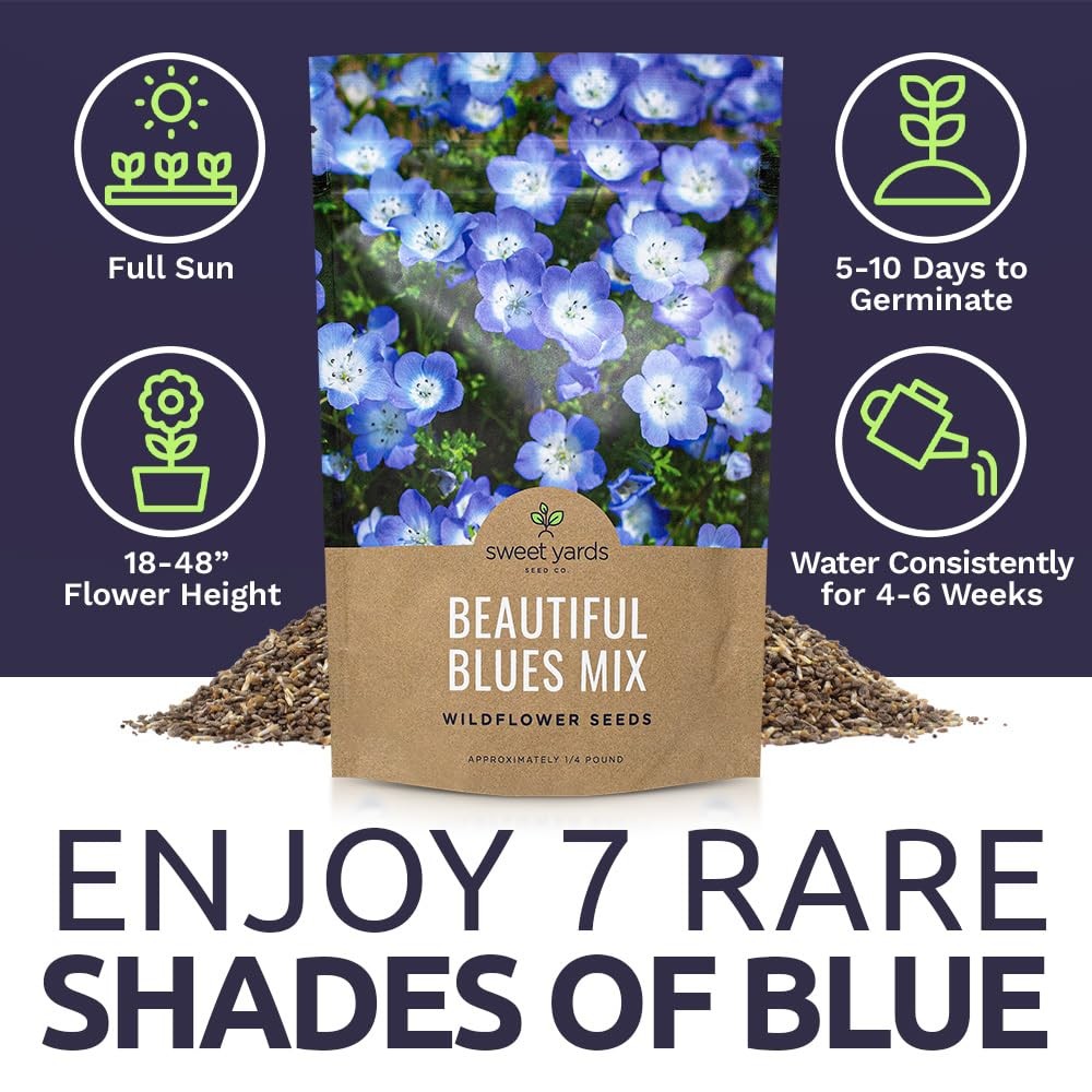 All Blues Wildflower Seeds – Bulk 1/4 Pound Bag – Over 30000 PureAnnual and P…