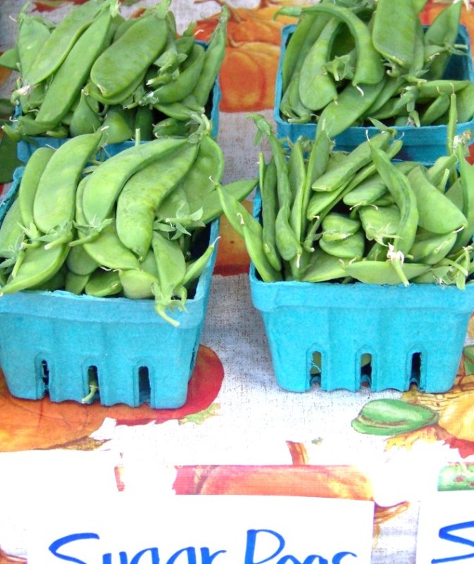 pea, OREGON SUGAR POD, snow, 100 seeds! GroCo buy US USA# – BUY 10=FREE SHIPPING