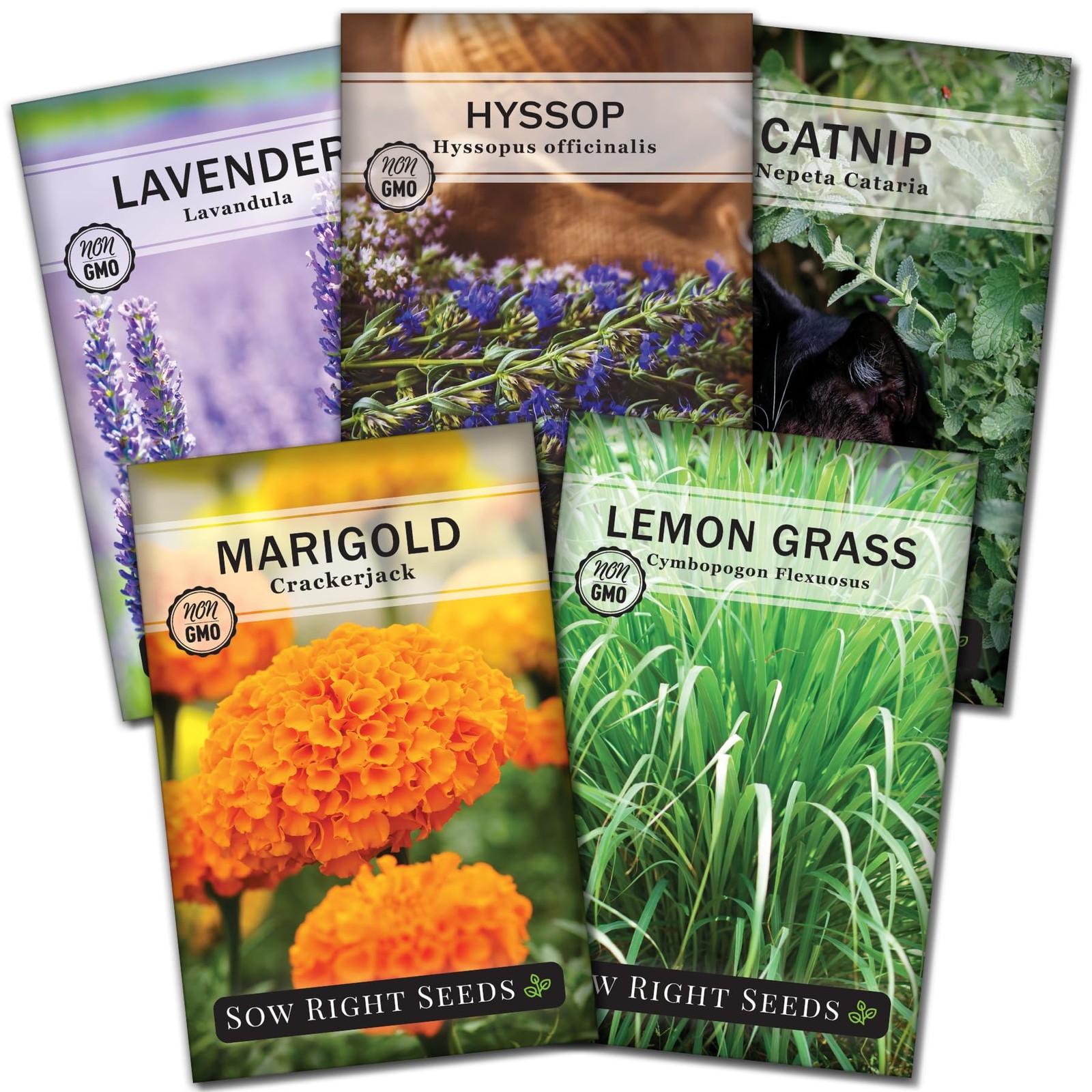Sow Right Seeds – Insect & Pest Repellent Seed Collection for Planting – Mix
