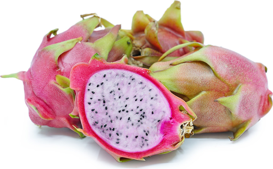 LOT of 7 SETS of 2 ,Dragonfruit,Live,Plant, Mixed Cuttings Pitaya Ready to Grow