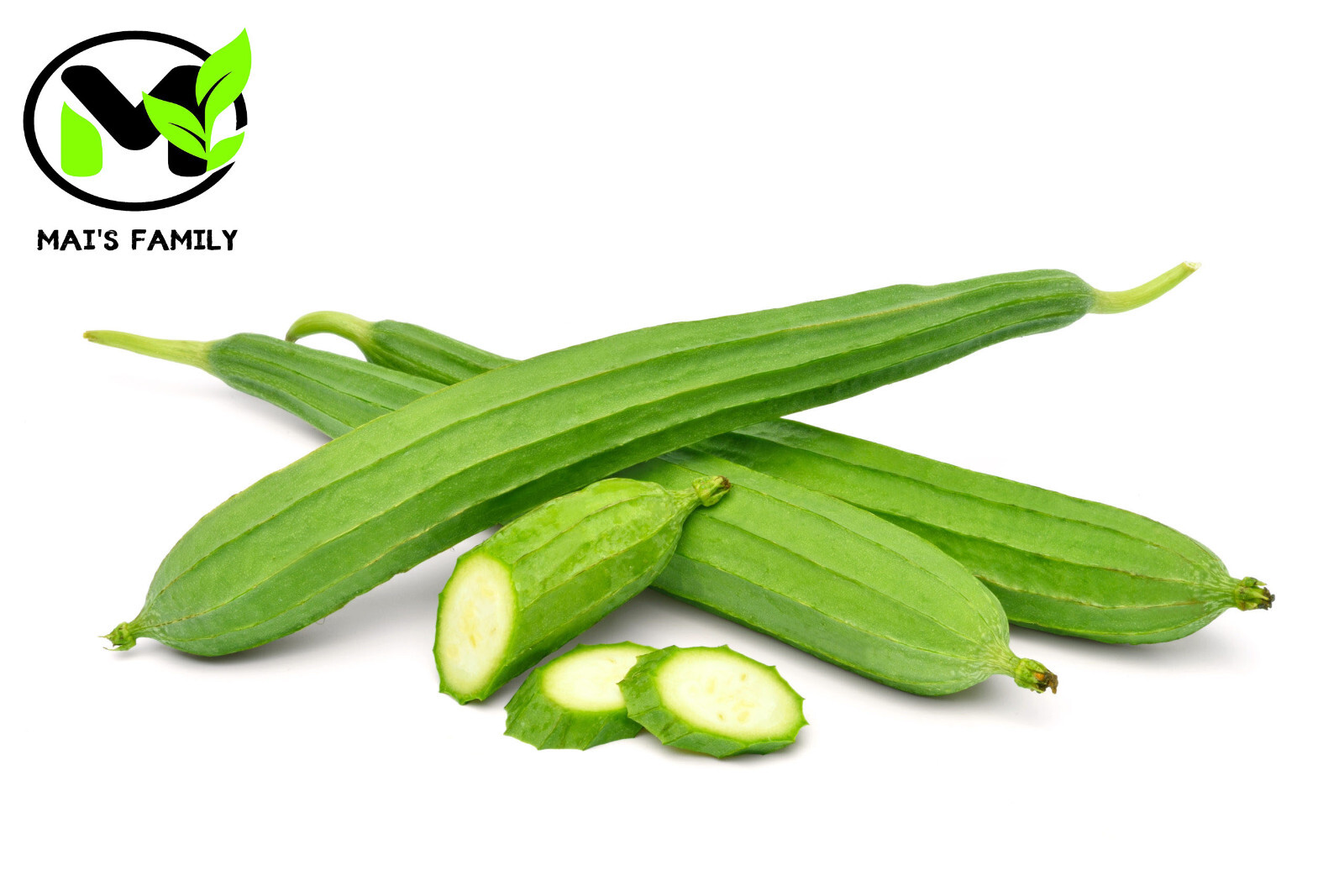 Angled Luffa Seeds – Ridged Sponge Gourd Mướp Khía USA