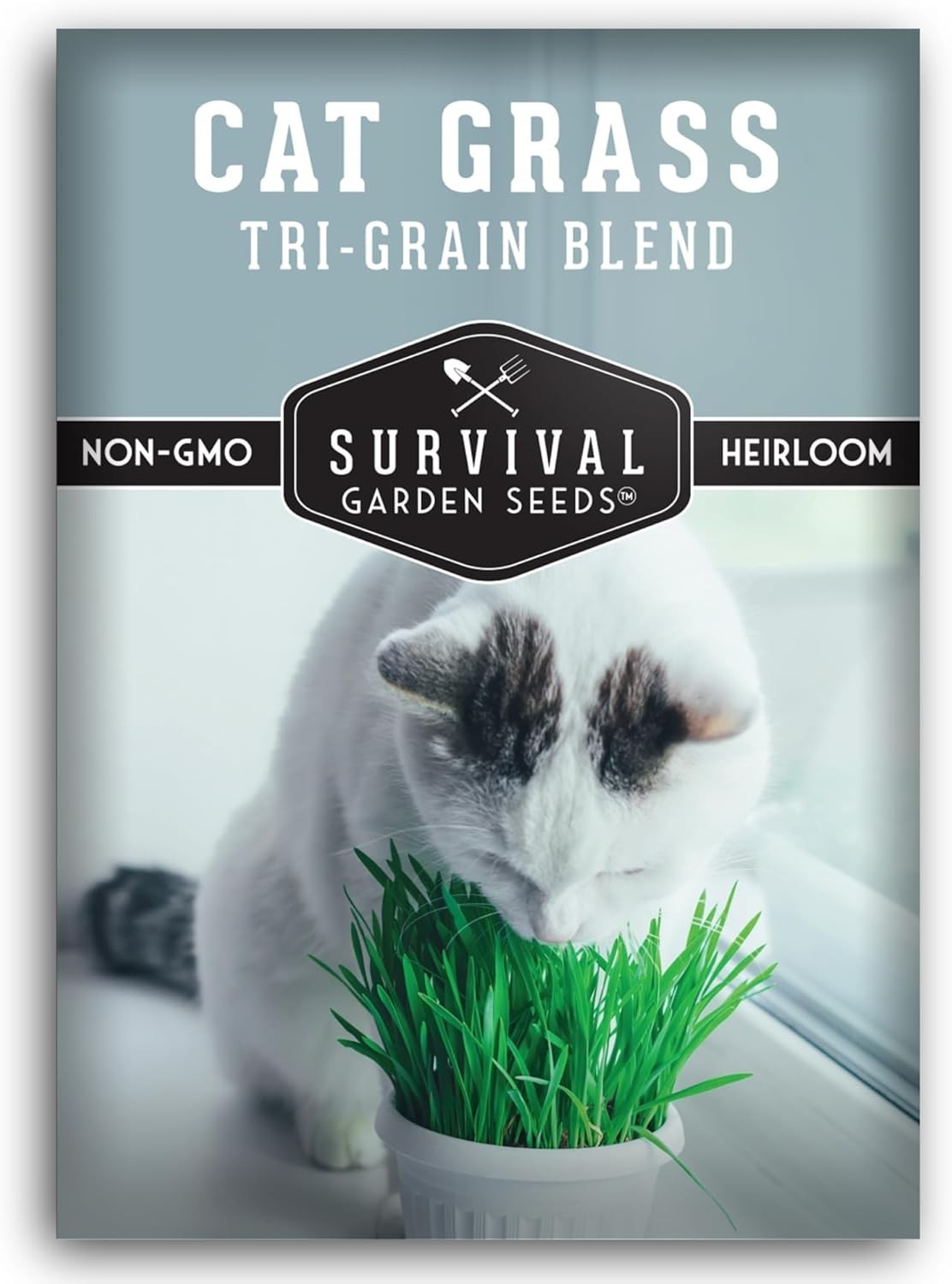 Pet-Friendly Cat Grass Seeds – Fast Germinating Heirloom Greens for Healthy Cats