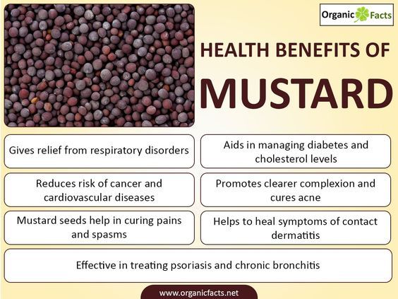 Mizuna Asian Mustard-1500 Seeds-Non GMO-Open Pollinted.