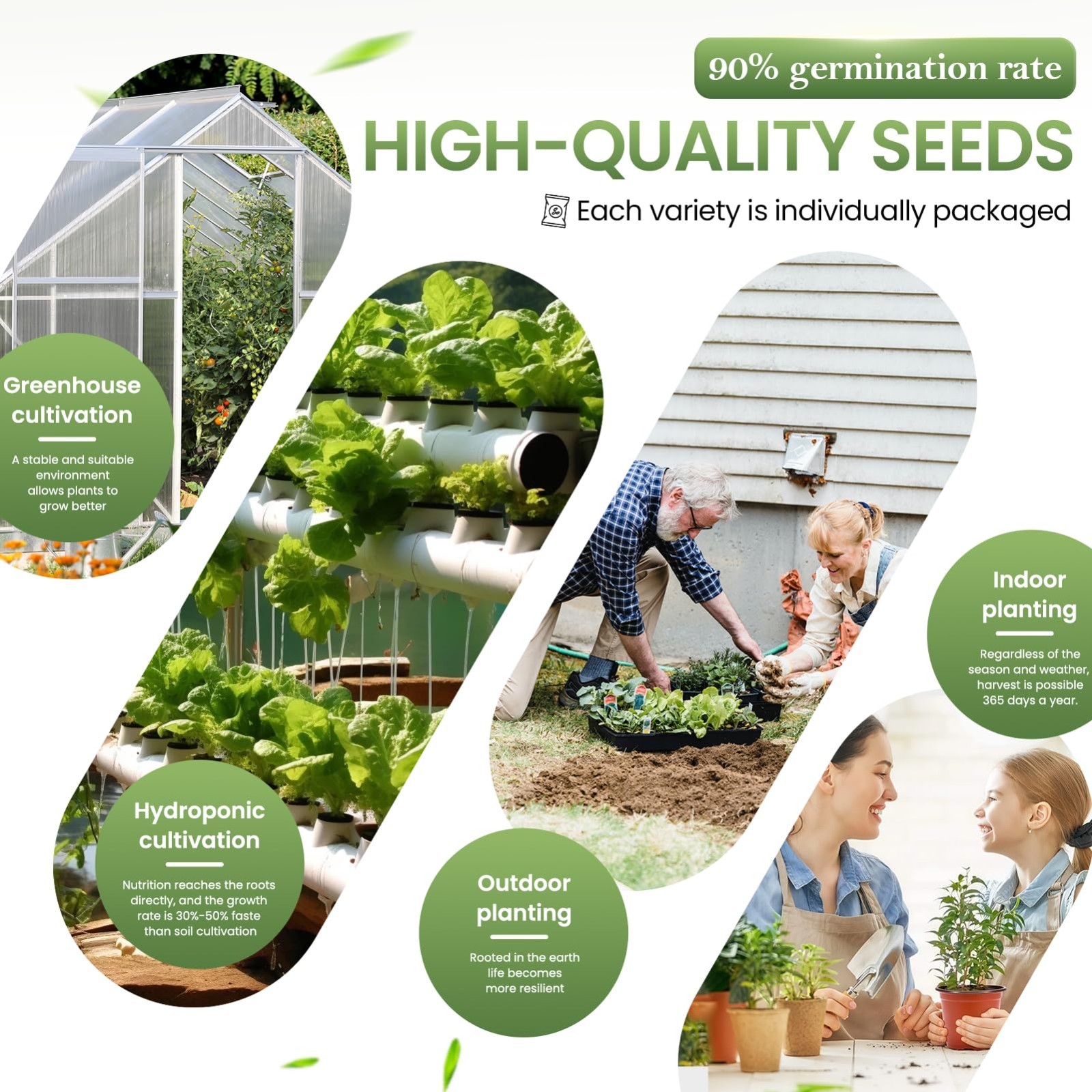 36 Vegetable Variety Pack – 17,600+ Non-GMO Heirloom Seeds for Indoor & Outdoor