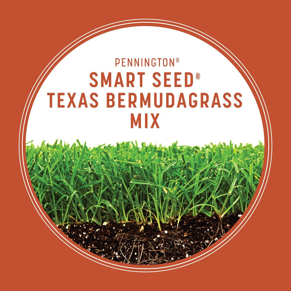 Pennington Smart Seed Texas Bermuda Grass Seed Mix, for Full Sun, 1.75 Lb.