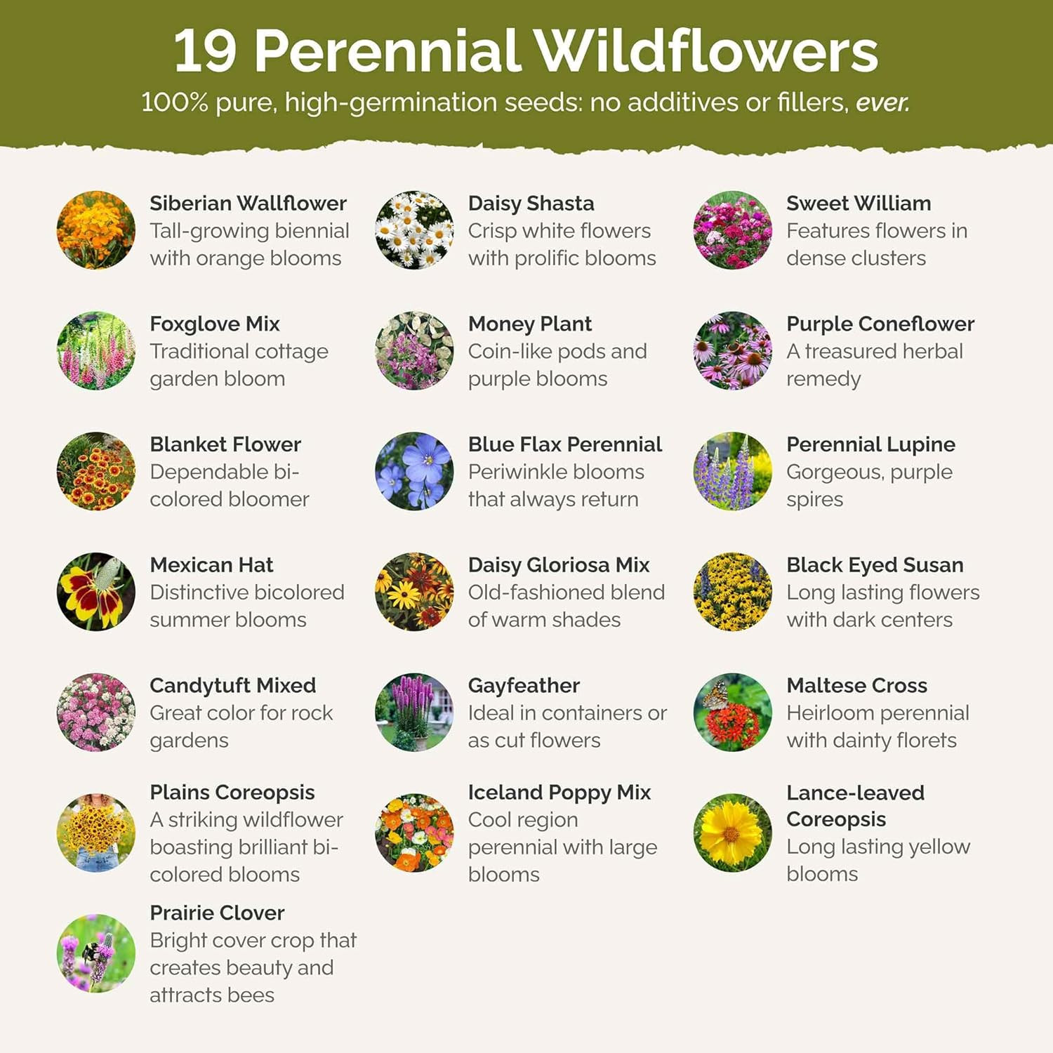 All Perennial Wildflower Mixed Seeds for Planting, 1/4 Lb, 120,000+ Seeds with L