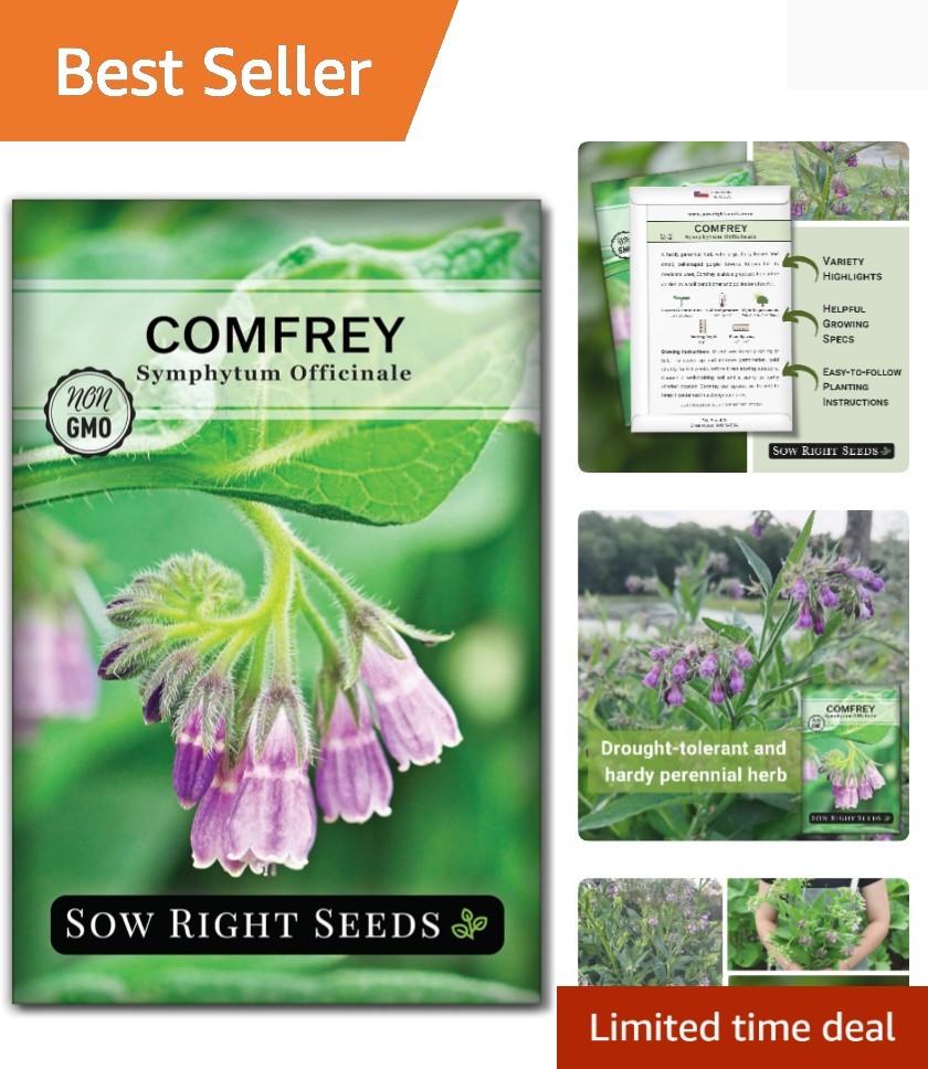 Comfrey Seeds for Planting – Non-GMO Heirloom – High-Yield Comfrey for Garden…