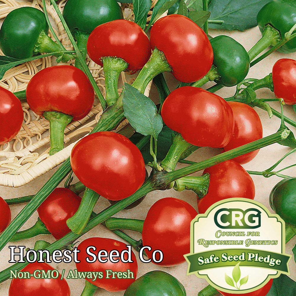 40+ Sweet Red Cherry Pepper Seeds | Fresh Non-GMO Garden Seeds