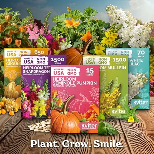 250 Mix Russell Lupine Seeds Perennial (Lupinus polyphyllus) – Heirloom & Non