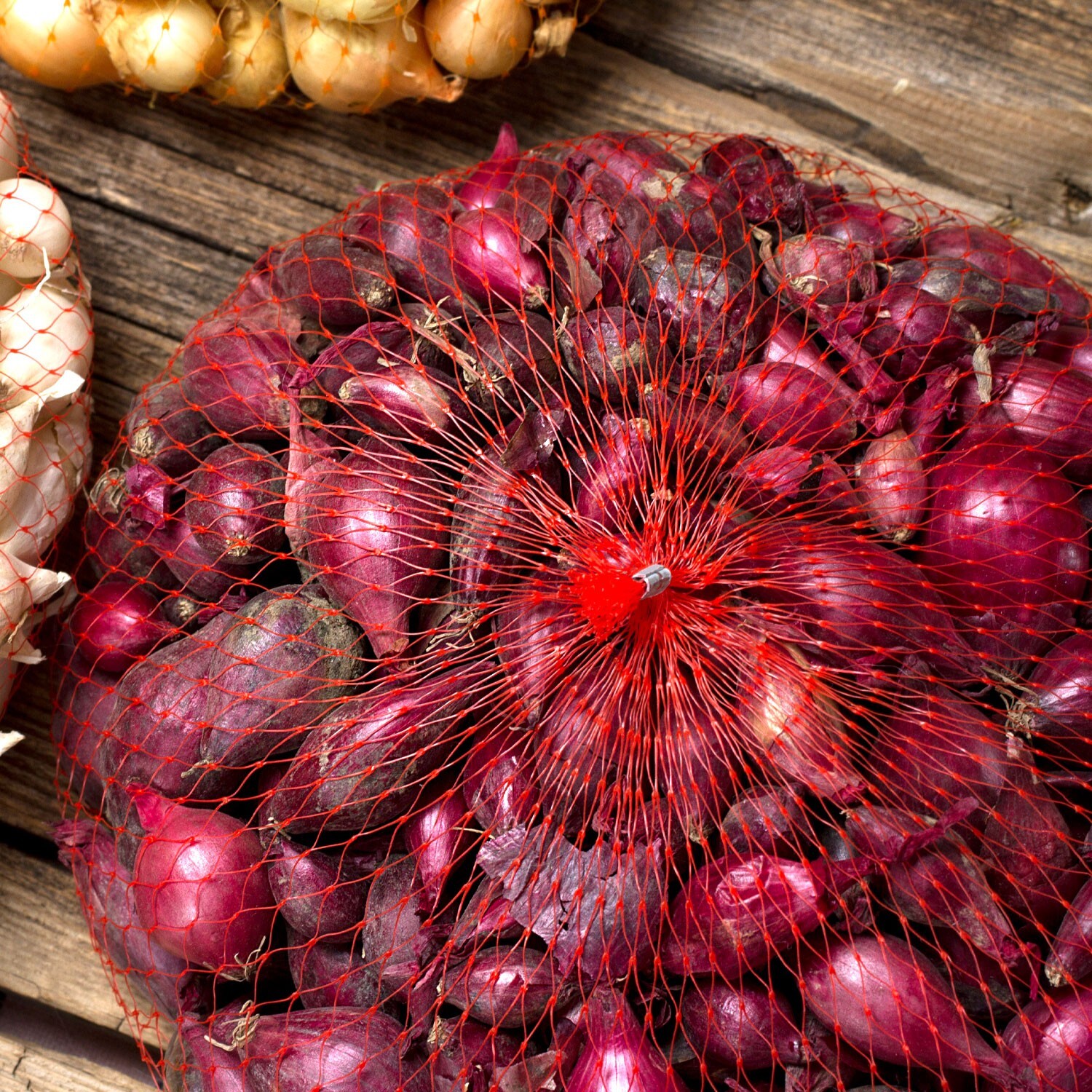 Red Onion Sets – Grown Naturally, Non-GMO 8 oz. (40+Bulbs) Shipping Now