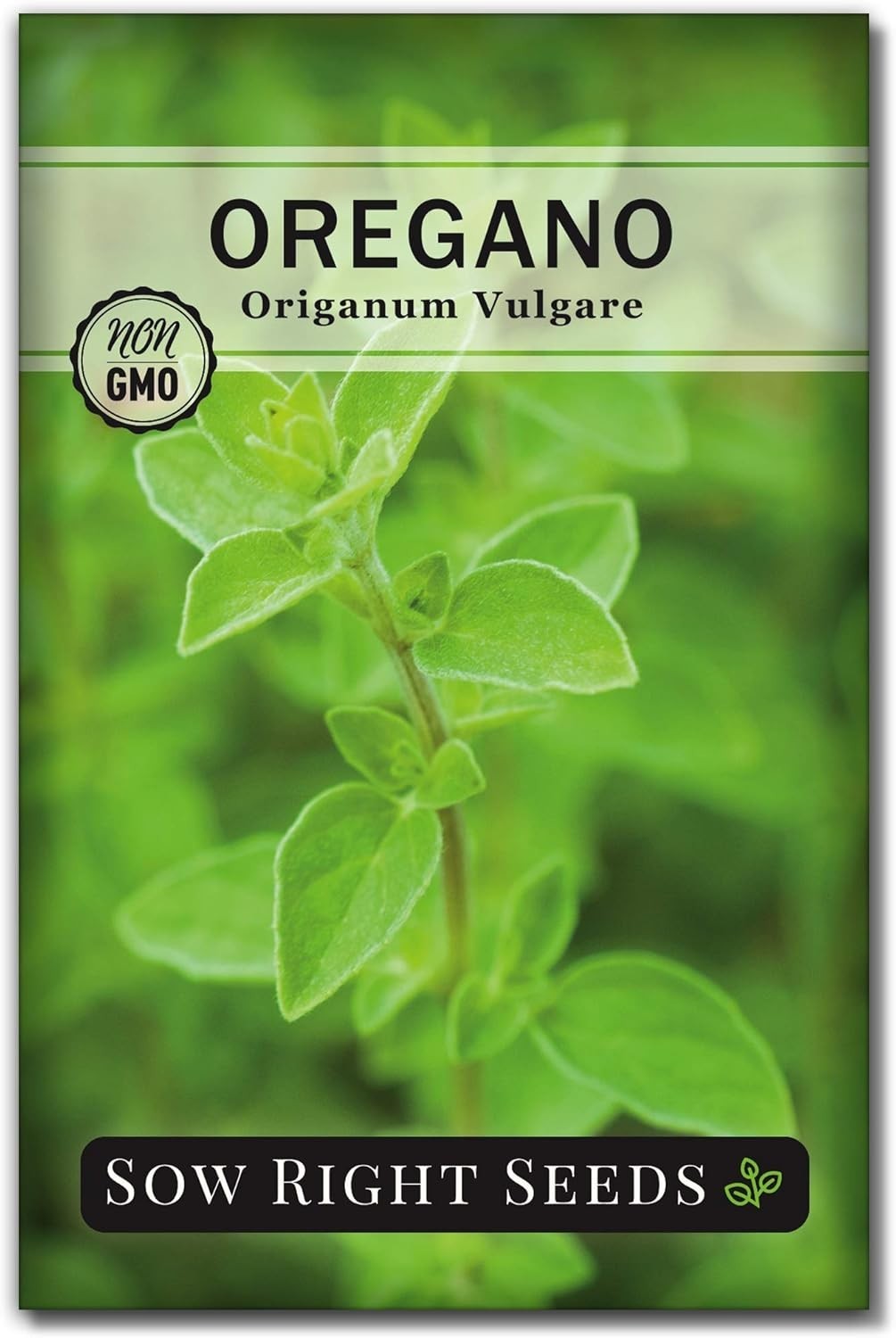 Fragrant Oregano Seeds for Indoor/Outdoor Gardening – Germinates in 7-14 Days