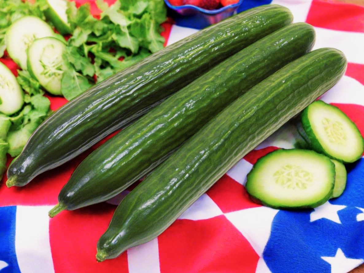 Burpless Cucumber Seeds – Improved English Telegraph – 30+ Count – for Fresh