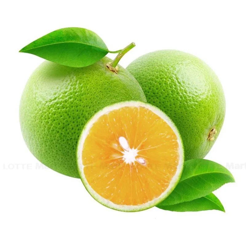 Green & Thin skin, Sweet Orange Fruit – 10 Seeds 2024 – USA