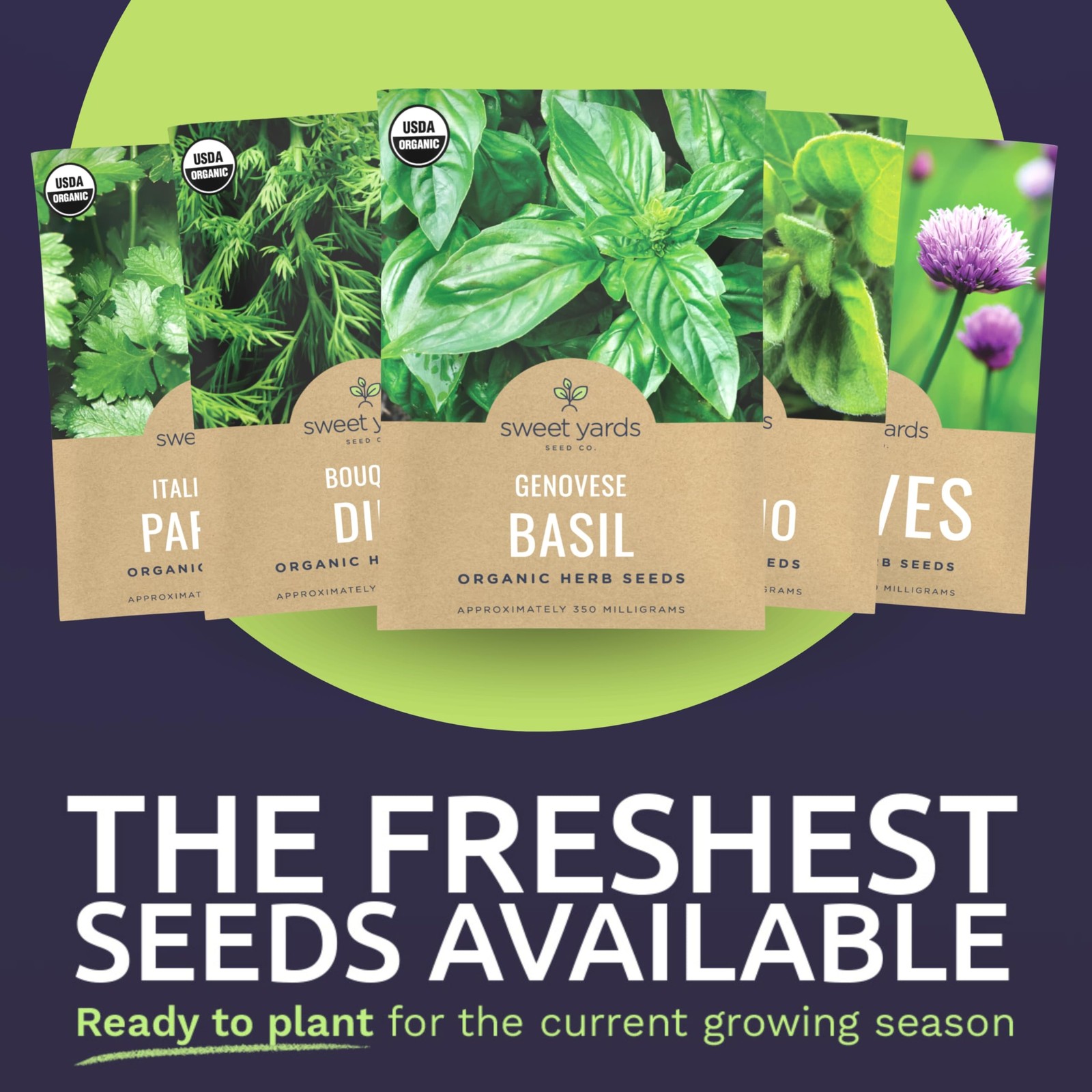 Organic Herb Seeds Variety Pack – 10 Individual Packs – 2026 Season – Basil, …