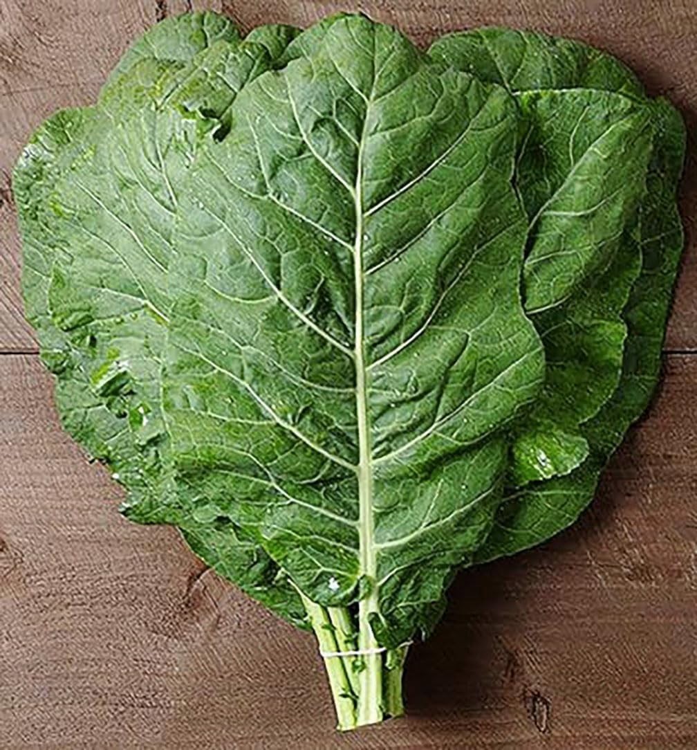 Heirloom Vegetable Seeds Dark Blue Green Collards for Spring and Summer Planting
