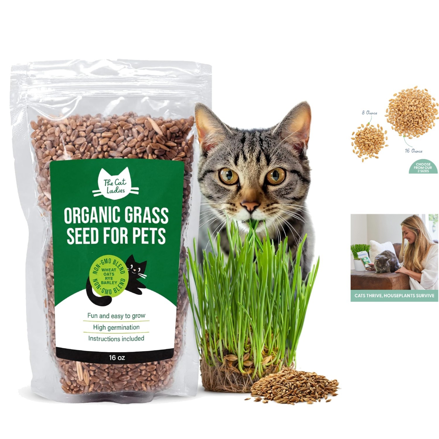 16 oz Organic Cat Grass Seeds – Pet-Friendly Wheatgrass Blend for Indoor Cats