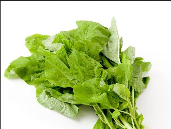 Green Amaranth Seeds,Spinach Seeds, (White Leaf) Rau Dền Xanh NON-GMO | Heirloom