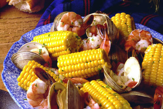 Honey Select Triple Sweet Corn Seeds – 1 Pound BULK Untreated Seed Yellow 2024