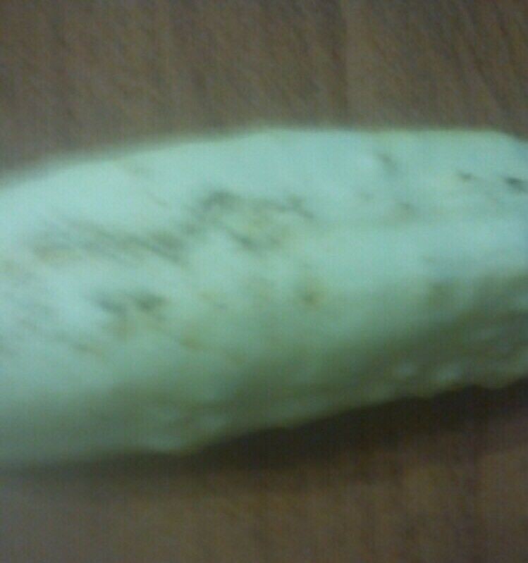 100pcs White Cucumber Seeds Cucumis Sativus Vegetable Fruit Home Garden Plant