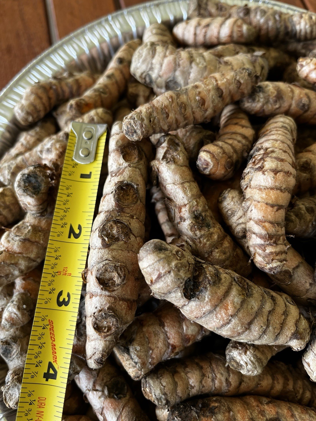 10 PCs Turmeric Roots Curcuma Longa Ready To Plant 3-4”-free shipping