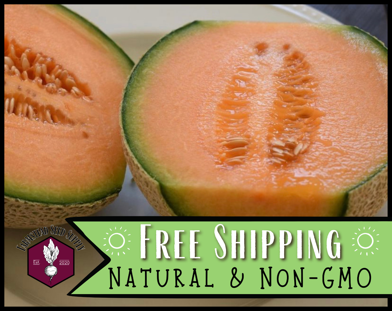 230+ Cantaloupe Seeds [Hales Best Jumbo] Heirloom Gardening Fruit Seed Packets