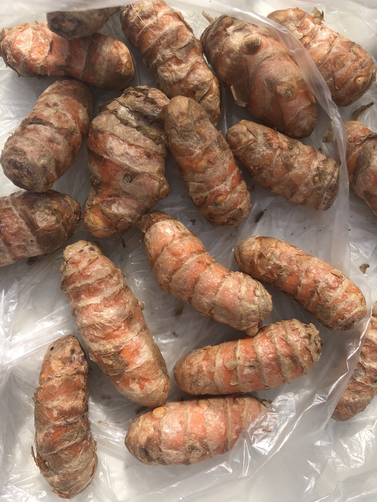 5pcs Fresh Turmeric Roots Curcuma Longa Ready To Plant