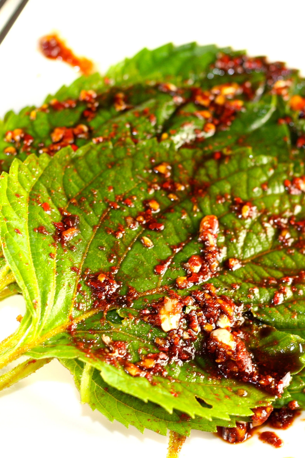 Korean Perilla Seeds |깻잎KKaennip Gaennip Sesame Shiso Mint Basil Asian Seed 2024