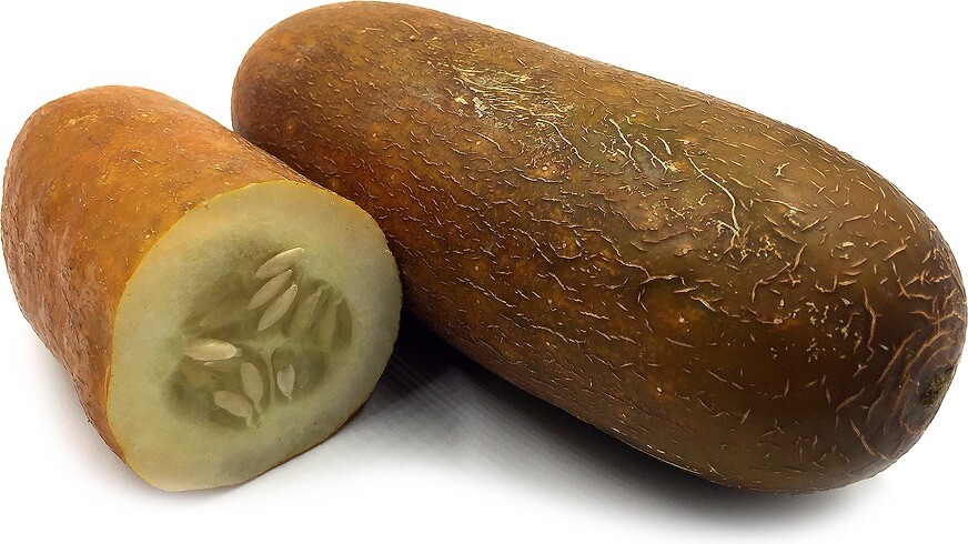 Cucumber Brown Russian – An Ukrainian Heirloom with Incredible Taste – 20 Seeds