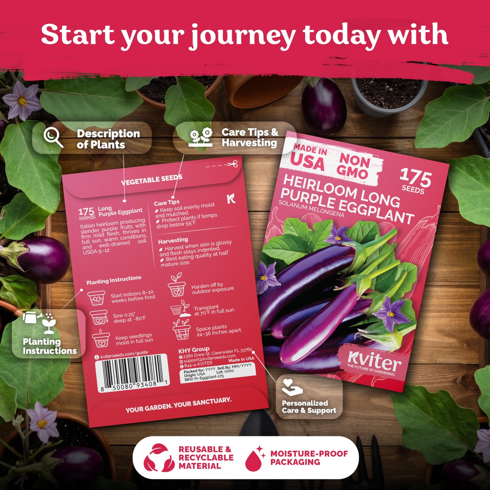 KVITER 350 Long Purple Eggplant Seeds (Solanum Melongena), 2 Pack