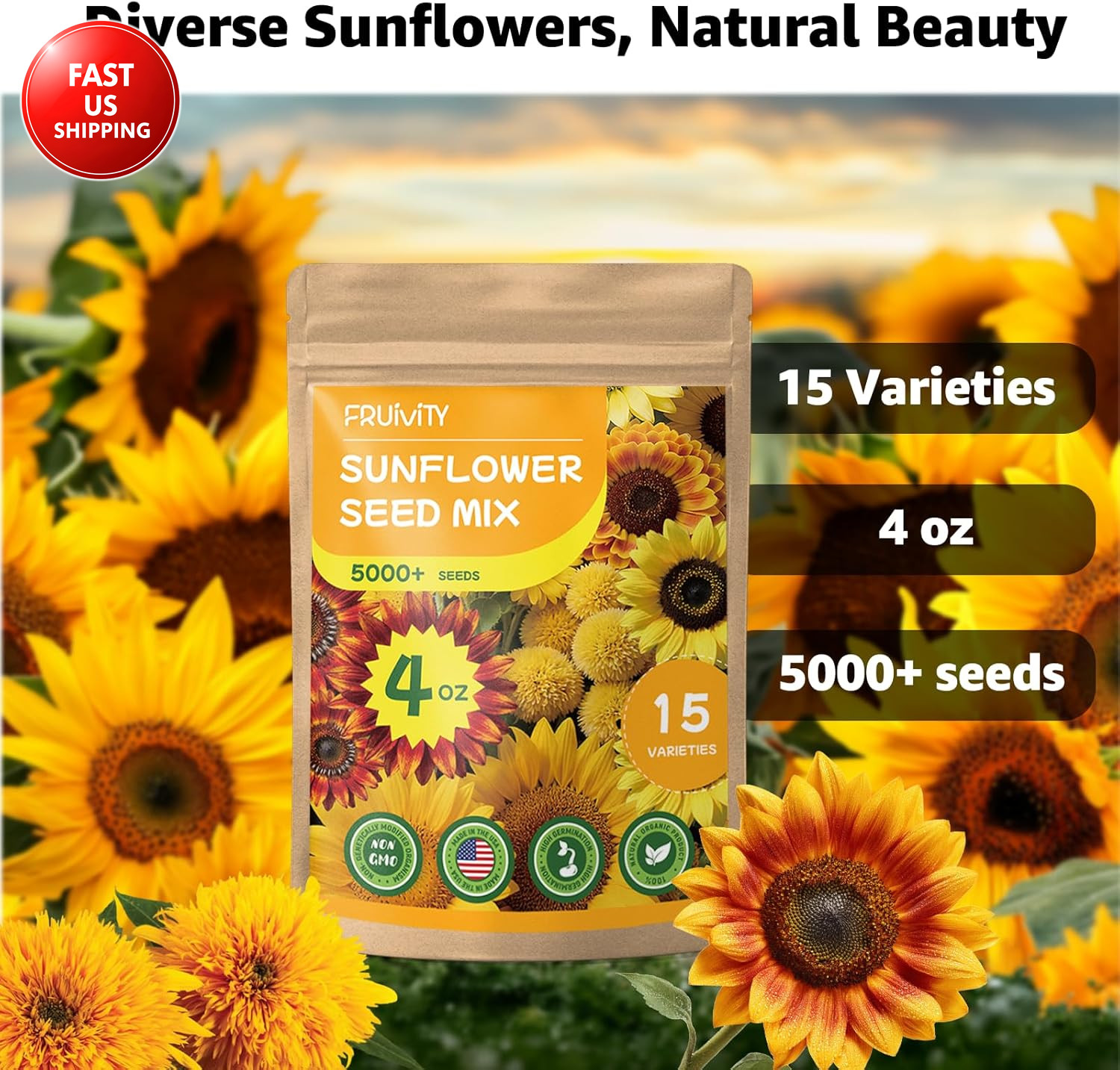 15+ Varieties 5000+ Sunflower Seeds for Planting, 4 Oz Heirloom Non-Gmo Sunflowe