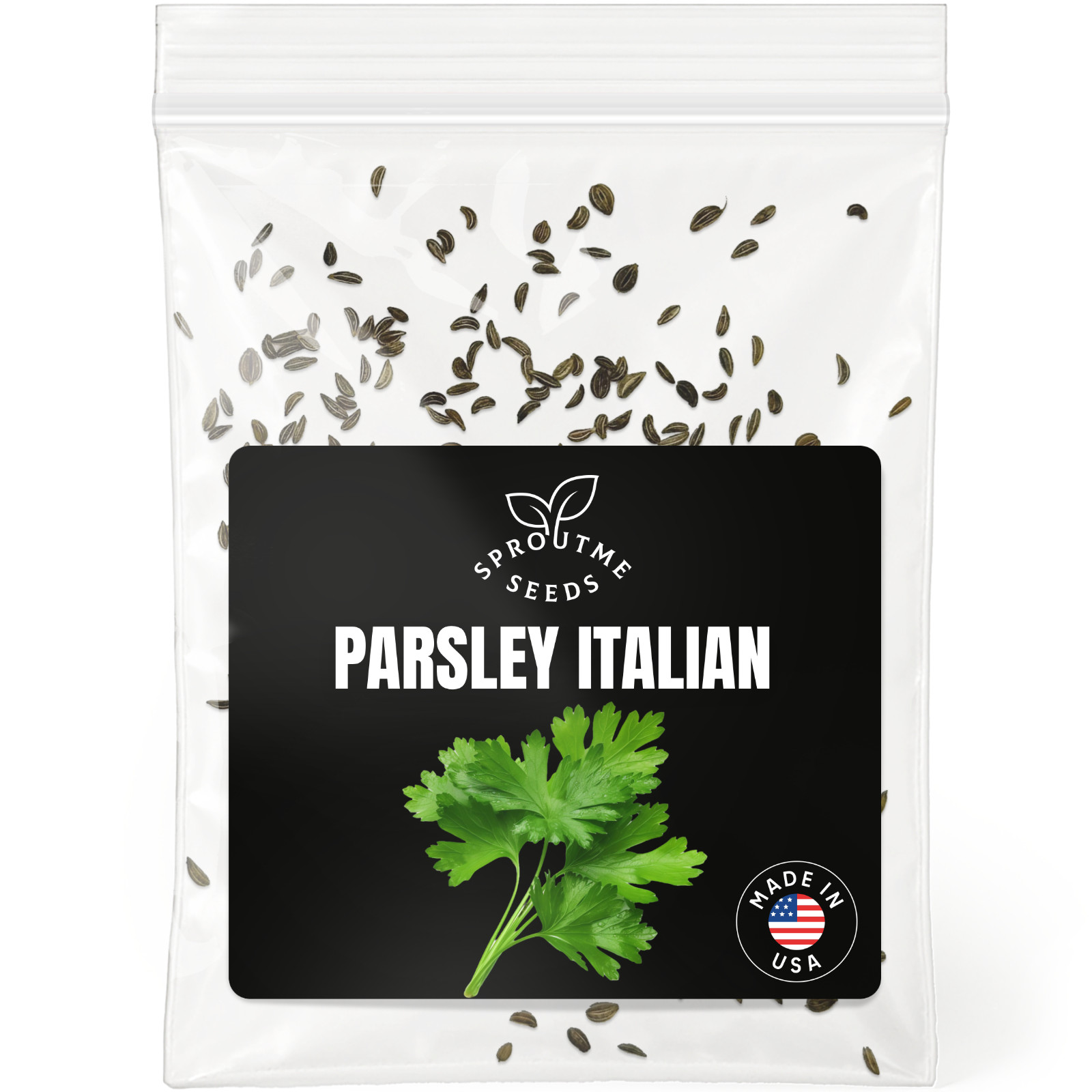 Parsley Seeds 200+, Heirloom Non-GMO, Flat Leaf Culinary Herb Garden