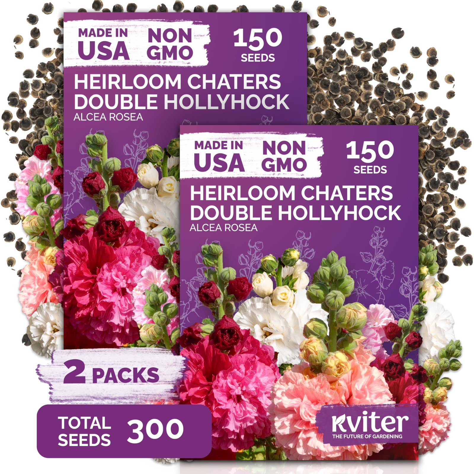 KVITER 300 Chaters Hollyhock Seeds for Planting (Alcea rosea), 2 Pack