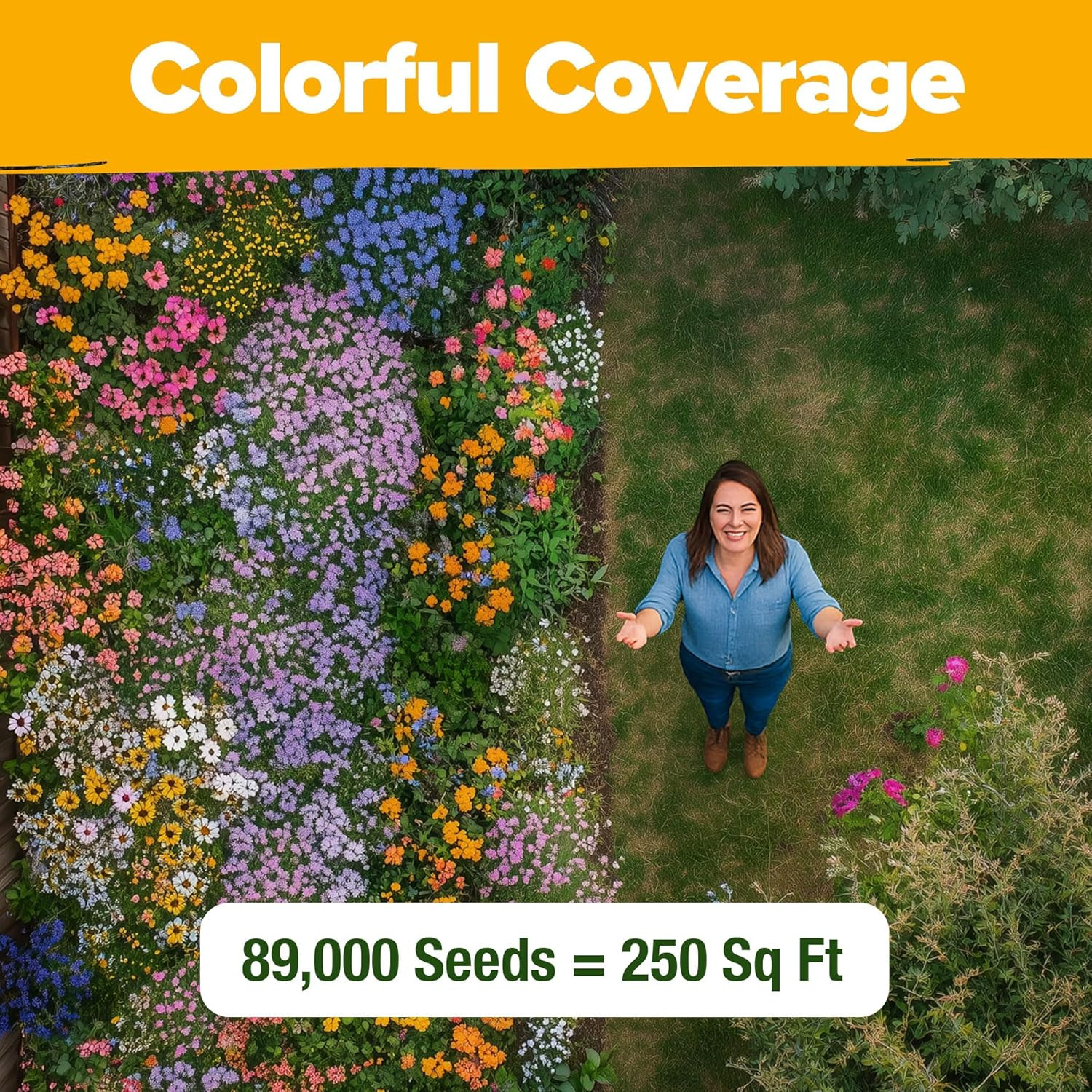 Premium Wildflower Seeds 89,000+ Count – 23 Non-Gmo Native Varieties for Bees, B