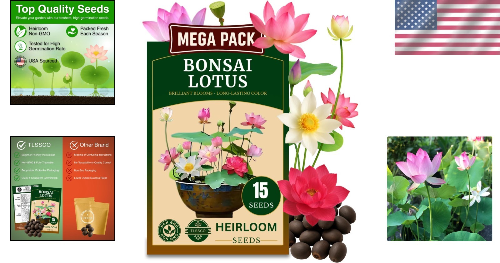 15 Lotus Seeds for Indoor Bonsai & Outdoor Ponds – High Germination Rate
