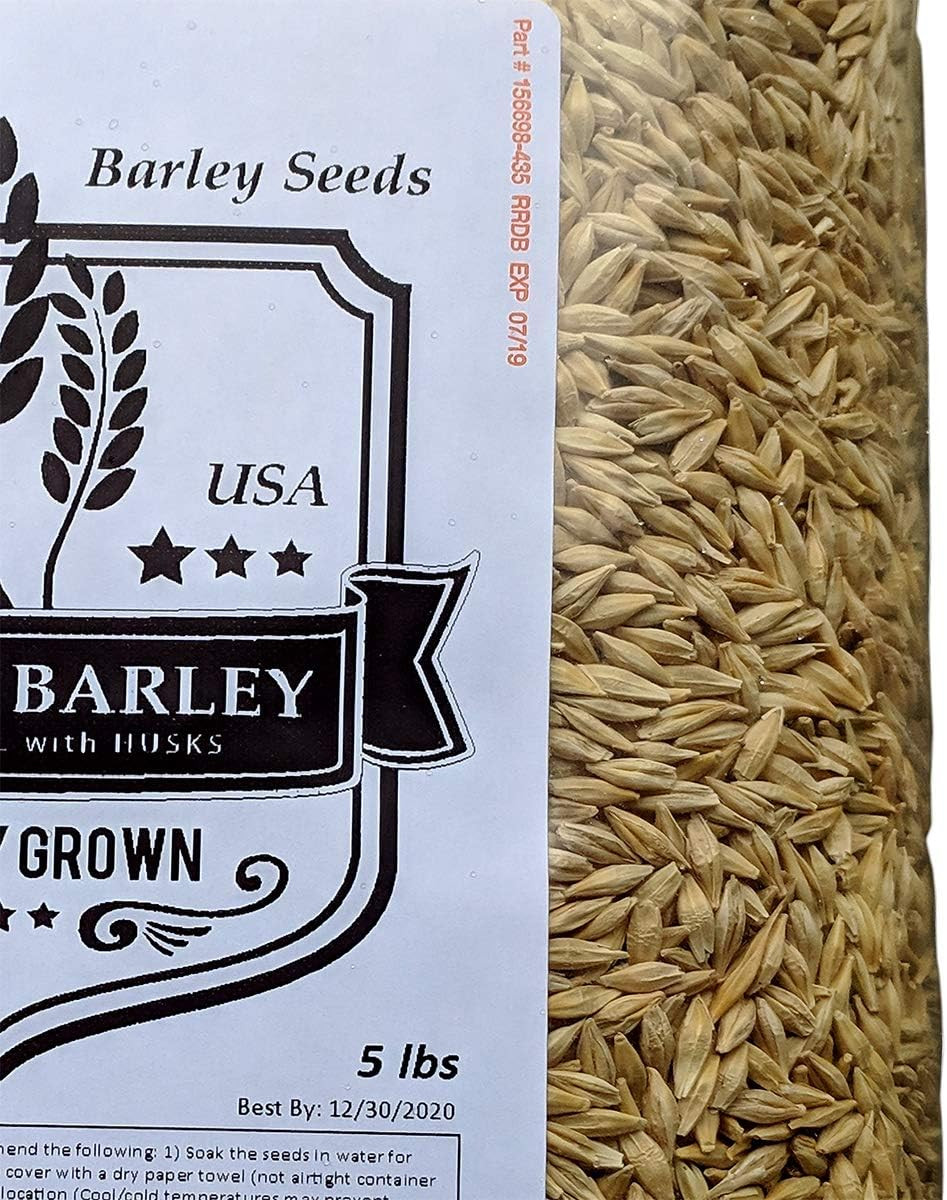Barley Seeds – All Natural 5 Pounds Whole Barley Seed for Juicing, Malt Brewing,