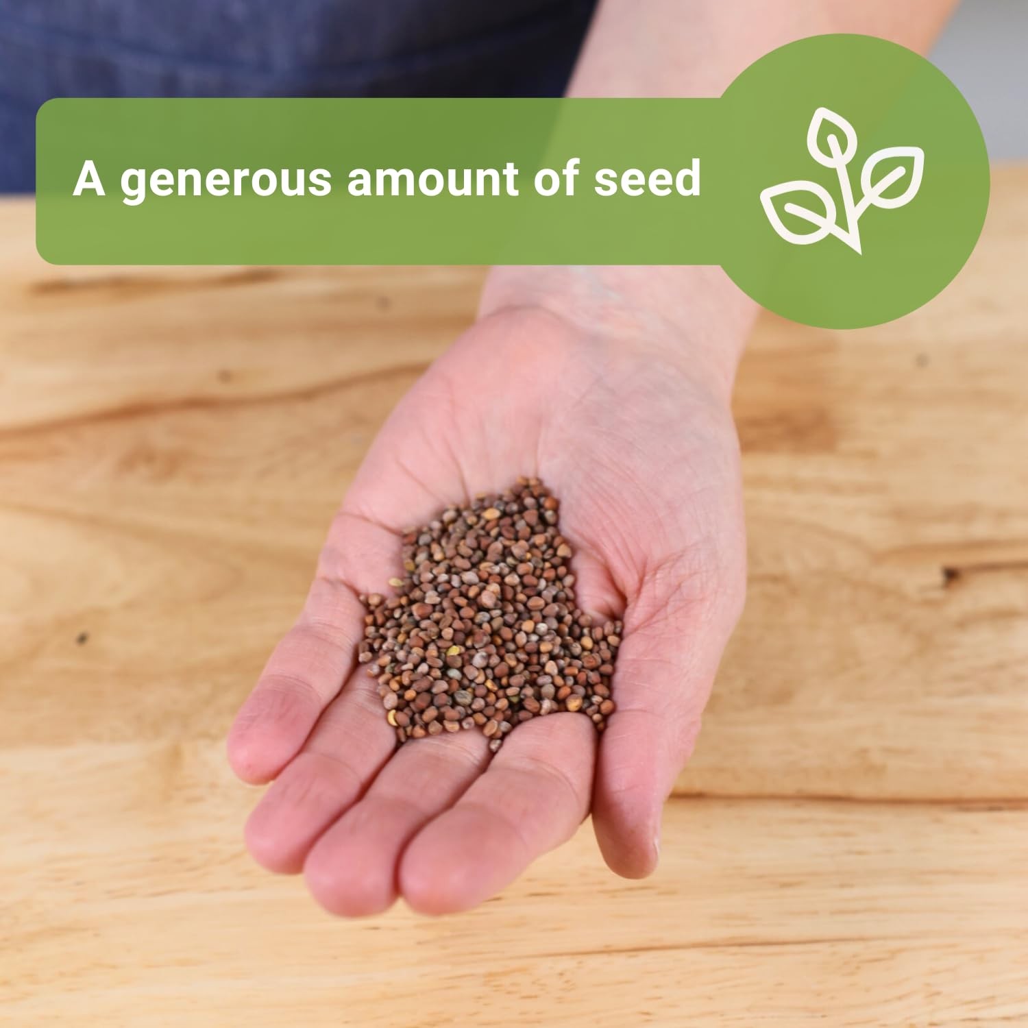 Bulk Easter Egg Radish Seeds NonGMO Heirloom Mix for Home Garden 10g