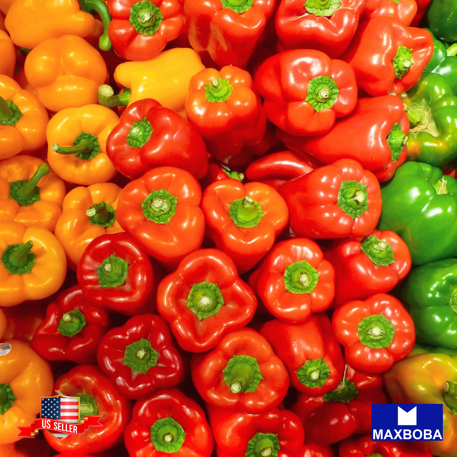 Fresh!! Pepper Seeds Non-GMO Vegetable