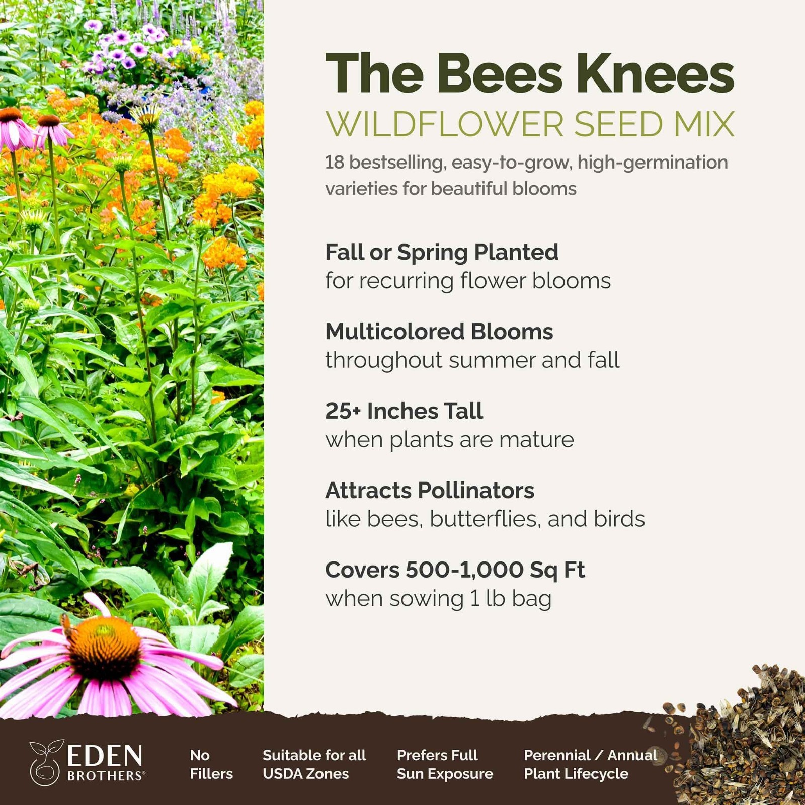 Wildflower Mixed Seeds for Planting – 1 lb, 480,000+ Seeds, Attracts Pollinators