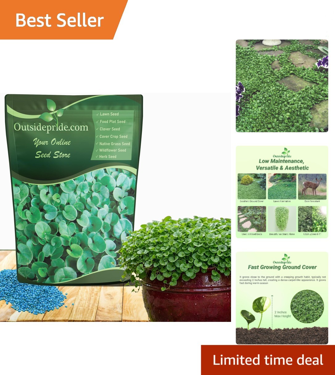 Dichondra Repens Seeds – 2 Lbs Erosion Control Ground Cover for USDA Zones 8-11