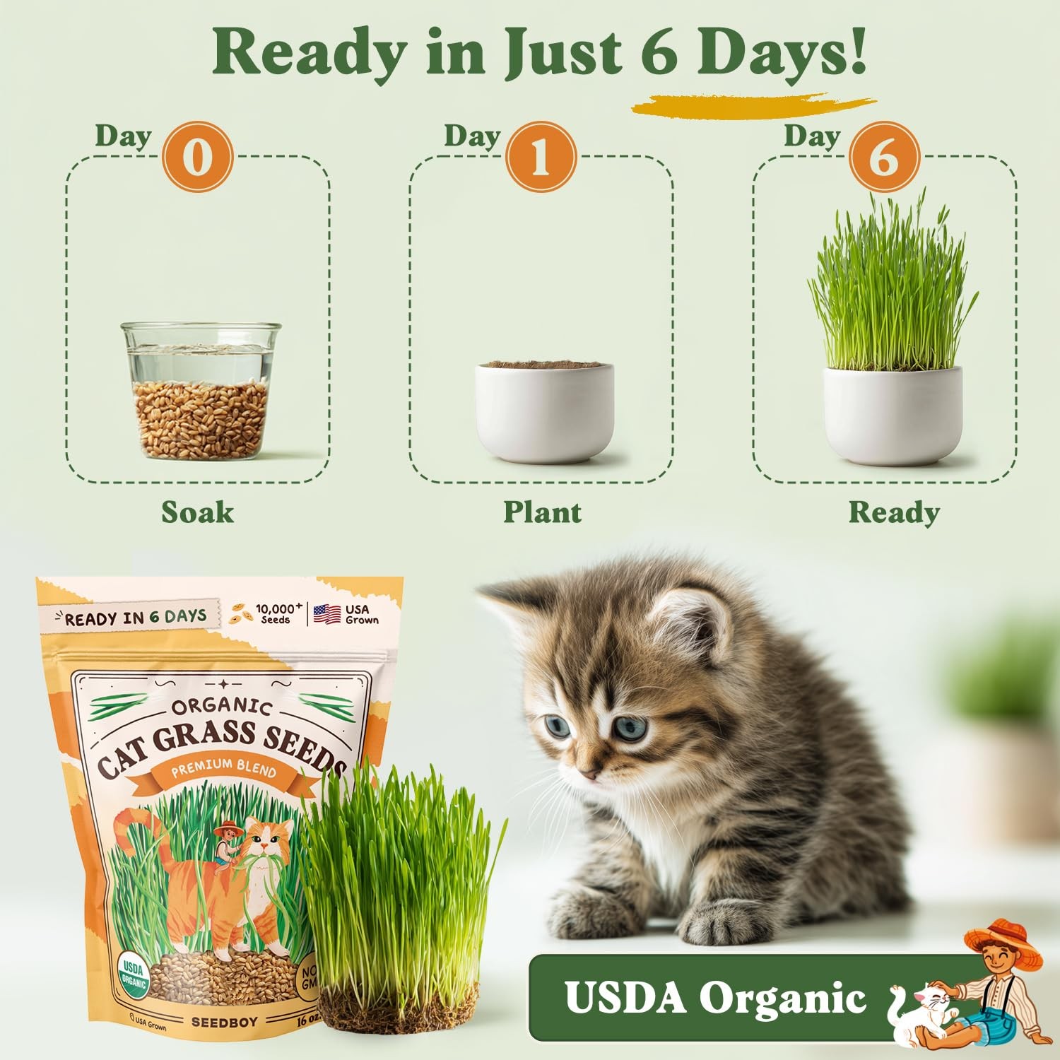 Organic Cat Grass Seeds for Planting, Non-GMO Wheat, Oat, Rye, and Barley Pet…