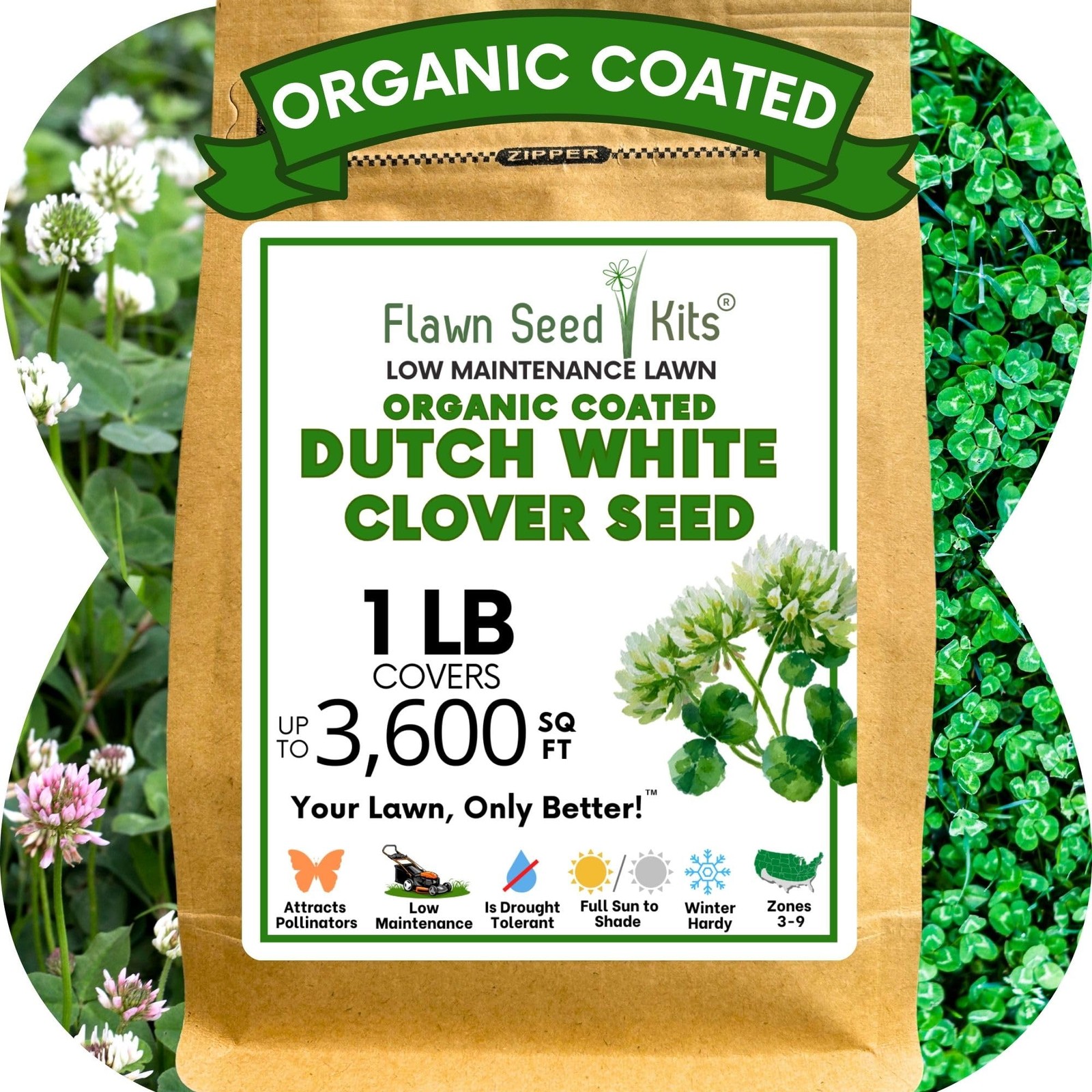 Flawn Seed Kits White Dutch Clover Seed, 1 Lb, Organic Coated, Natural Lawn, …