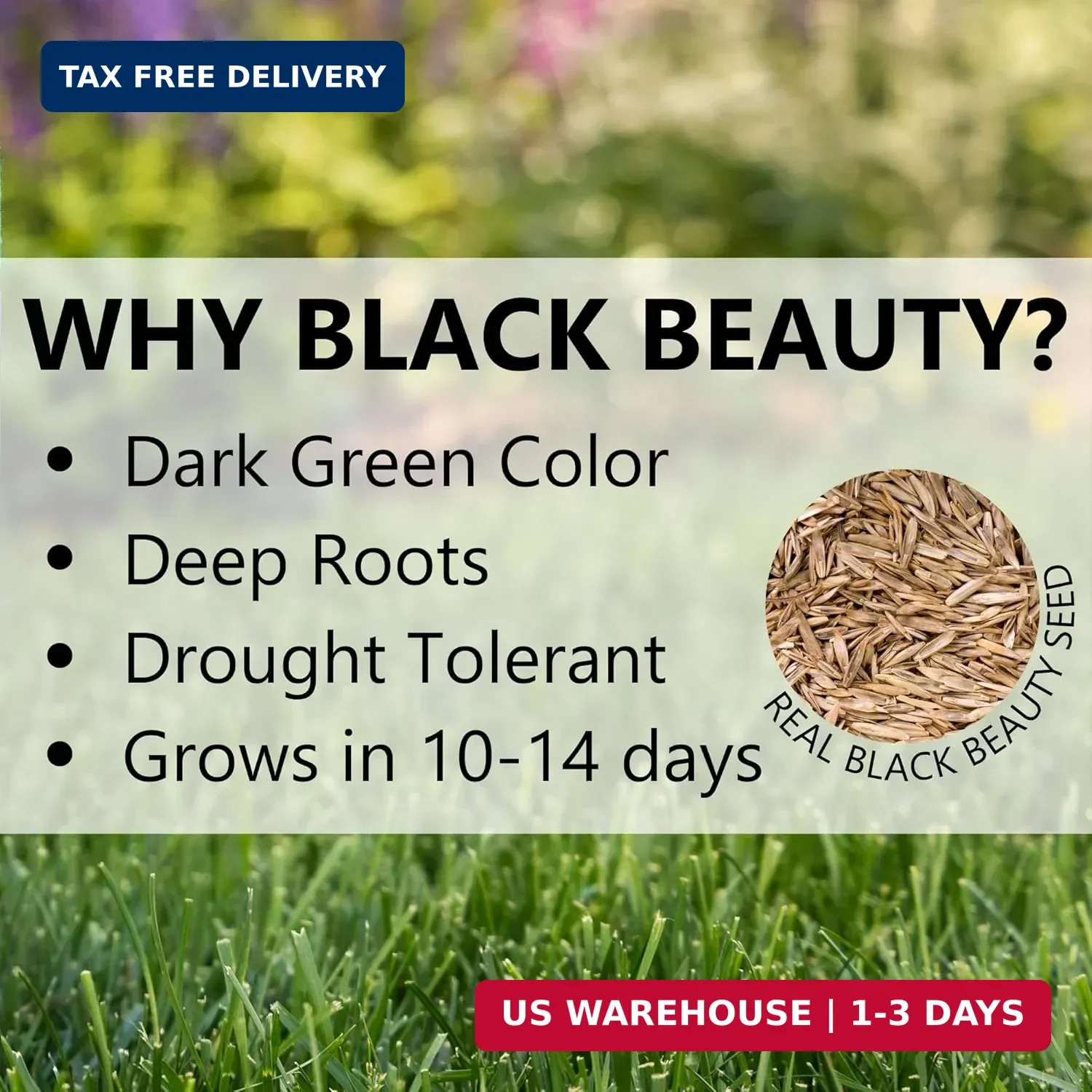 Jonathan Green (10895) Black Beauty Sunny Grass Seed – Cool Season Lawn Seed (1
