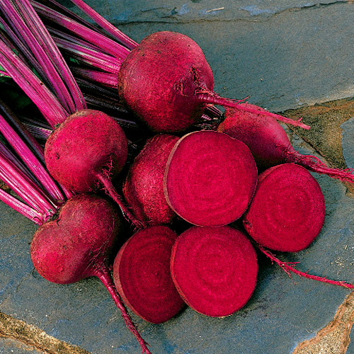 RED ACE HYBRID BEET SEEDS * 100 COUNT PKT. * DROUGHT TOLERANT *