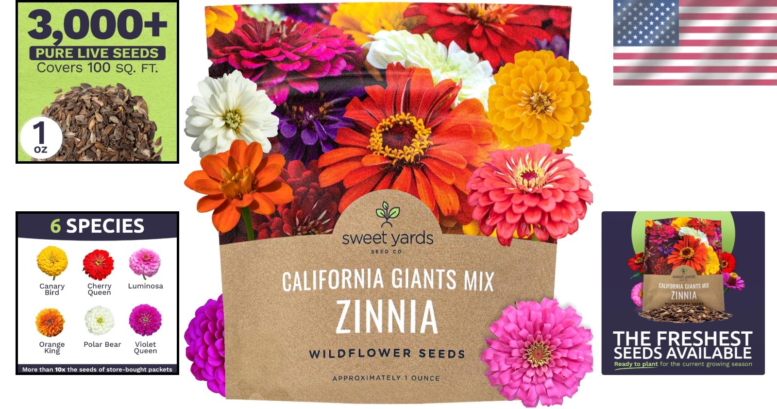 Heirloom Zinnia Seeds – 1 Ounce with 3,000 Seeds for Colorful Spring-Fall Blooms