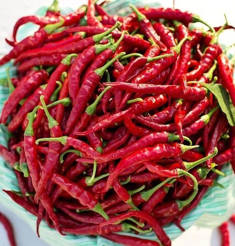 Cayenne Pepper Seeds for Planting, 200 Hot Pepper Seeds Cayenne Jalapeno, Non-Gm