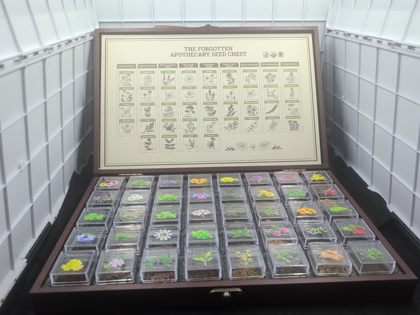 Medicinal Herb Seed Chest 36 000+ Non GMO Survival Kit Lush&Dew Ancestral Gifts