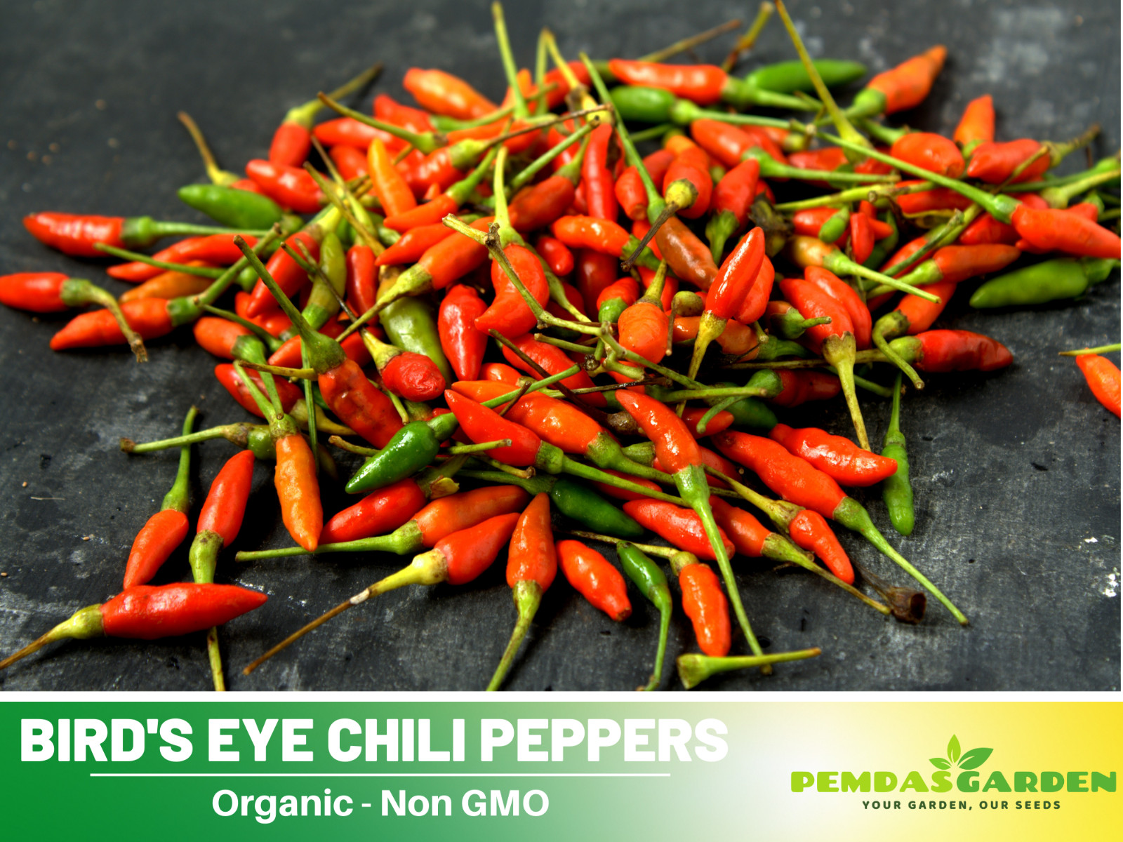 35 Seeds| Bird’s Eye Chili Peppers (Thai) Seeds#6039