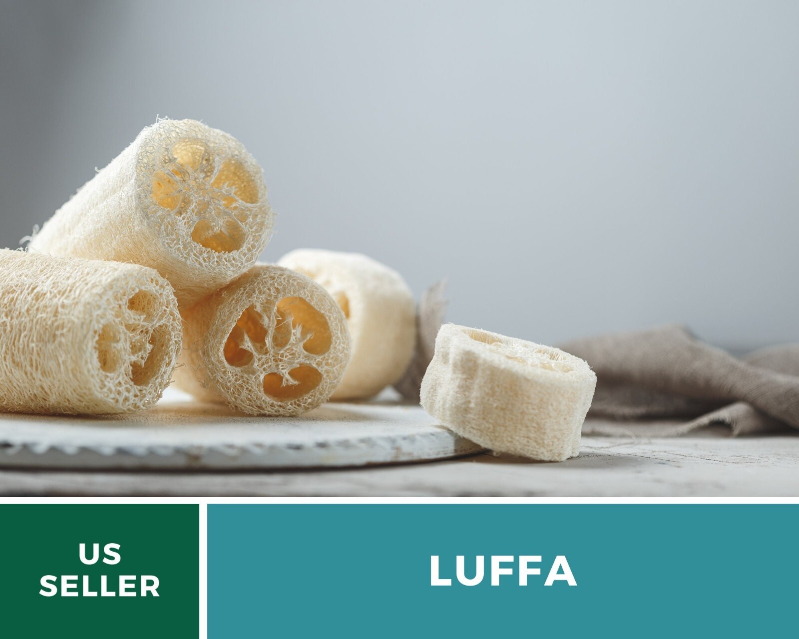 Gourd, Luffa – Heirloom Seeds – Grow Your Luffa Sponge (luffa cylindrica)