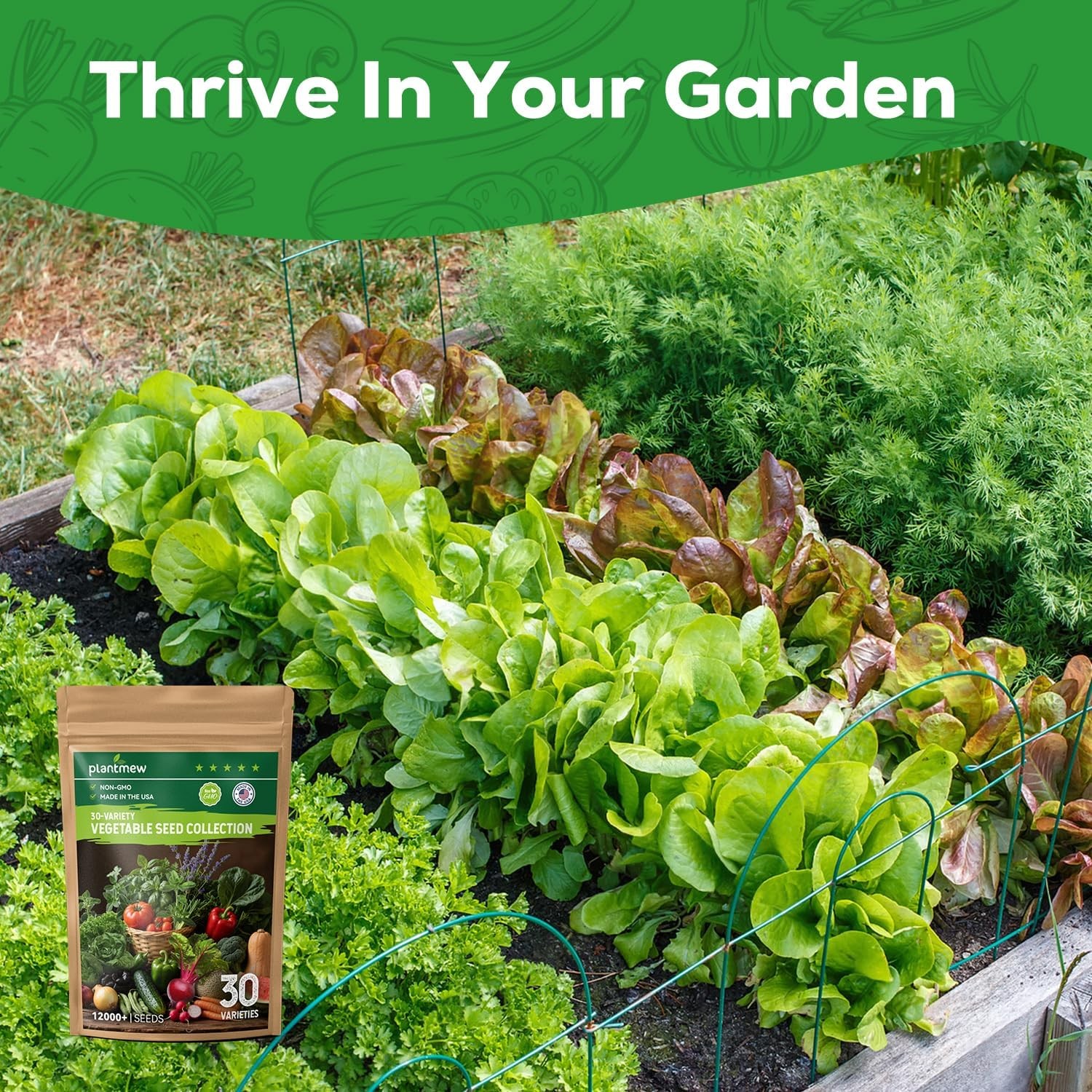 Heirloom Vegetable Seed Collection – 30 Non-GMO Seeds for Home Garden