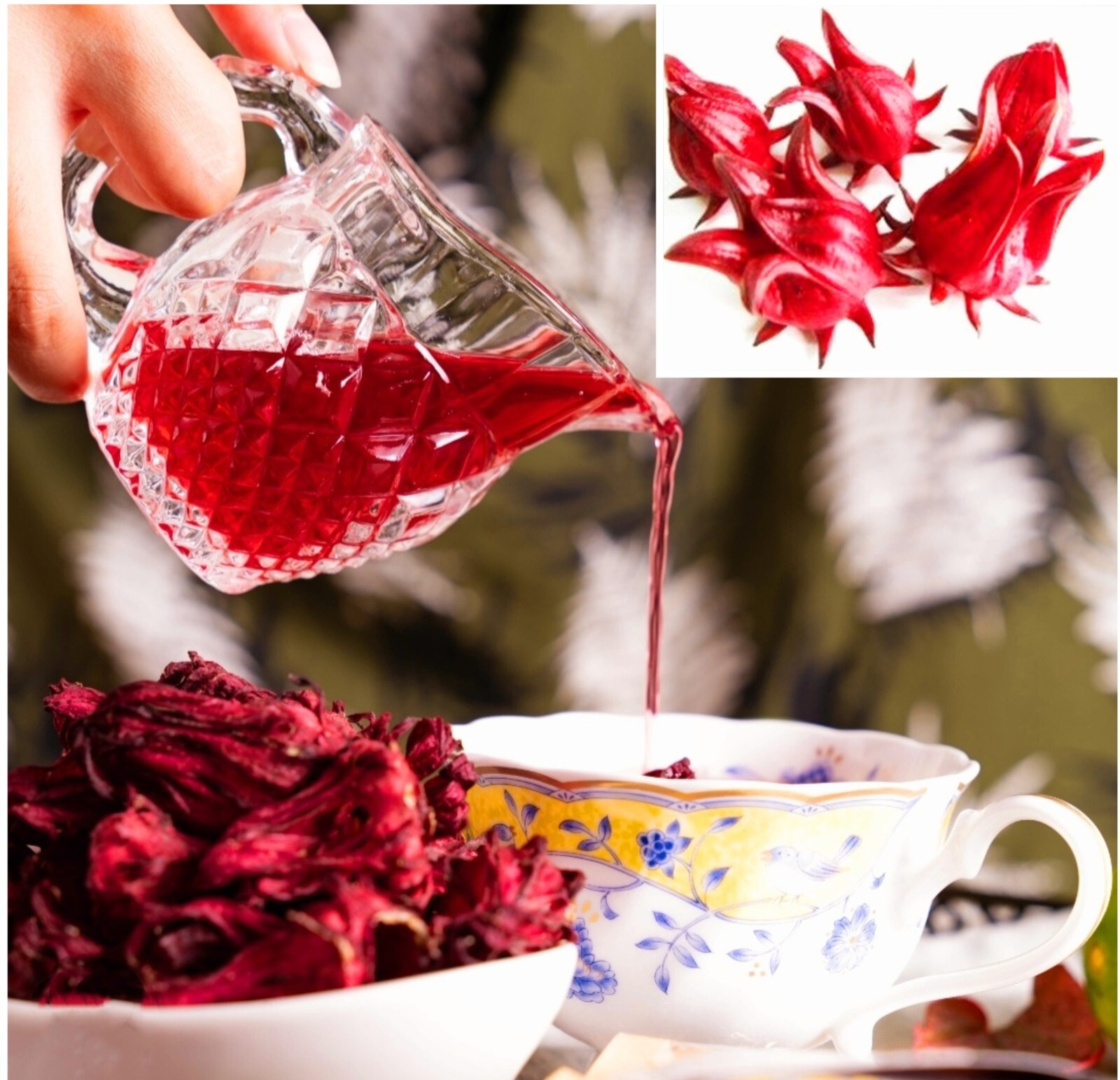 50 Roselle Seeds Jamaican Sorrel Seeds Florida Cranberry Hibiscus Sabdariffa